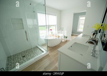 Bagno moderno nelle tonalità grigio e bianco, caratterizzato da un design elegante Foto Stock