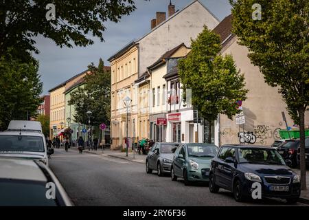 Bernau im Landkreis Barnim, Bundesland Brandenburg: Altstadt mit Stadtmauer Straßenszene - 29.09.2023 Brandenburg *** Bernau nella contea di Barnim, stato federale Brandeburgo città vecchia con le mura della città scena stradale 29 09 2023 Brandenburg Credit: Imago/Alamy Live News Foto Stock