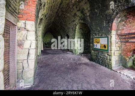 Forni di calce vicino al castello di Lindisfarne, Holy Island Nothumberland Foto Stock