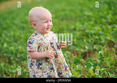 la bambina tiene un giovane germoglio di soia. Glicina max, soia, germoglio di soia che cresce soia su scala. Piantagione di soia agricola nelle giornate di sole Foto Stock