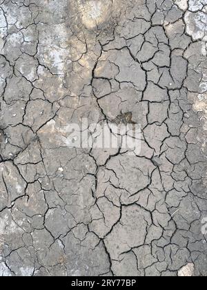 fango essiccato blakeney norfolk inghilterra Foto Stock