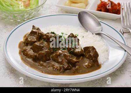 Riso al curry di manzo in stile giapponese (il curry e il riso sono serviti insieme sul piatto) il curry giapponese è sempre servito con riso. Foto Stock