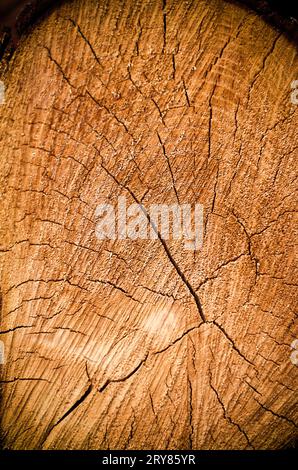 Spezzare la spirale di legno Foto Stock