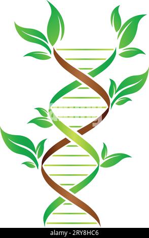 icona verde del concetto di filamento di dna vegetale a doppia elica isolata su vettore di sfondo bianco Illustrazione Vettoriale