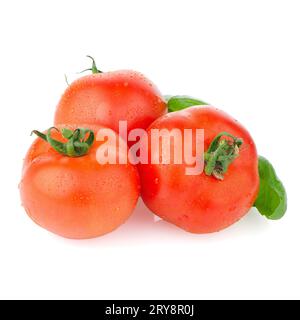 Pomodoro maturo rosso Foto Stock