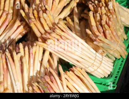 asparagi in vendita presso lo stand del mercato degli ortaggi Foto Stock