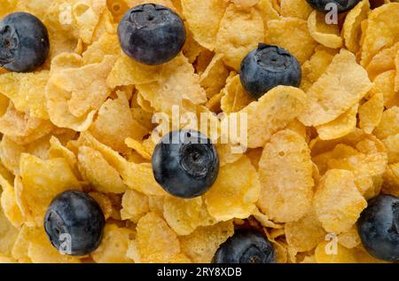 Cereali e mirtilli Foto Stock