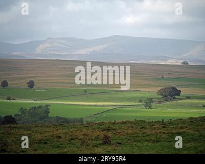 Vista da un pascolo ruvido attraverso i verdi campi murati di terreni agricoli fino a Kidsty Pike nelle colline di lakeland oltre - Cumbria, Inghilterra, Regno Unito Foto Stock