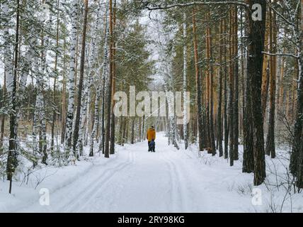 Un padre porta suo figlio su una slitta lungo un sentiero innevato in una foresta invernale Foto Stock