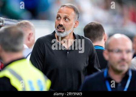 Sinsheim, Deutschland. 29 settembre 2023. Pellegrino Matarazzo (Rino, Trainer, Cheftrainer, Hoffenheim), Einzelbild, Einzelfoto, Aktion, Action, 29.09.2023, Sinsheim (Deutschland), Fussball, Bundesliga, TSG 1899 Hoffenheim-Borussia Dortmund, 29.09.2023, Sinsheim (Deutschland), Fussball, Bundesliga, TSG 1899 HOFFENHEIM - BORUSSIA DORTMUND, LE NORMATIVE DFB/DFL VIETANO L'USO DI FOTOGRAFIE COME SEQUENZE DI IMMAGINI E/O QUASI-VIDEO. Credito: dpa/Alamy Live News Foto Stock