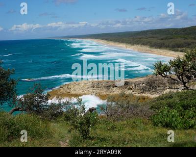 Stradbroke Island Main Beach, 40 km circa di spiaggia da surf su sabbia bianca che si estende all'orizzonte. Palme pandaniche ed erba sul capezzale in primo piano Foto Stock