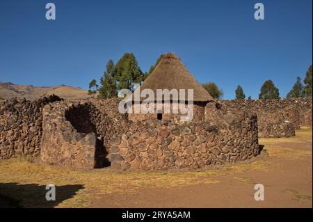 Parco archeologico "Wiracocha" nelle rovine di Raqchi Foto Stock