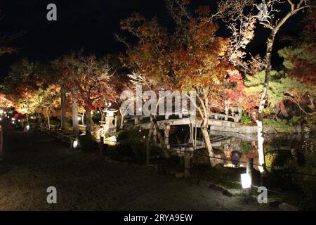 Foglie autunnali e illuminazione nel tempio di Eikando, Kyoto, Giappone Foto Stock