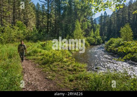 Escursionisti, Big Elk Creek Trail, Snake River Range, Greater Yellowstone Rockies, Targhee National Forest, Idaho, USA Foto Stock