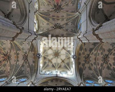 Treviri: Deckengewölbe in der Liebfrauenkirche, Blick entlang der Pfeiler nach oben * soffitto a volta nella chiesa di nostra Signora, vista verso l'alto Foto Stock