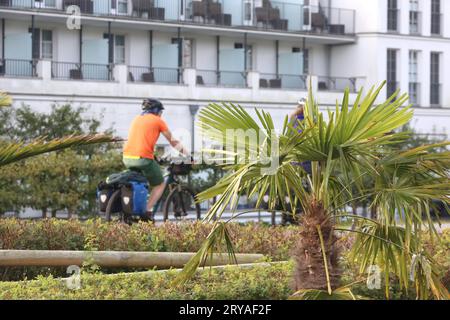 Blick am Donnerstag 28.09.2023 in Zingst Landkreis Vorpommern Rügen auf eine Palme am Zugang zur Seebrücke mit einem Hotel im Hintergrund. Nel Meclemburgo Vorpommern neigt sich die Saison allmählich dem Ende zu. Die letzten Strandkörbe sind mehr und mehr verwaist und in einigen Restaurants kehrt nach und nach wieder etwas Ruhe ein. Dennoch bleibt das Land für zahlreiche Touristen ein beliebtes Urlaubsziel. Cappello denn die Tourismusbranche in den zurückliegenden Jahren sehr viel in saisonverlängernde Maßnahmen investiert. Quindi gibt es mittlerweile im Nordosten u.a. auch während der Herbstmonate Diver Foto Stock