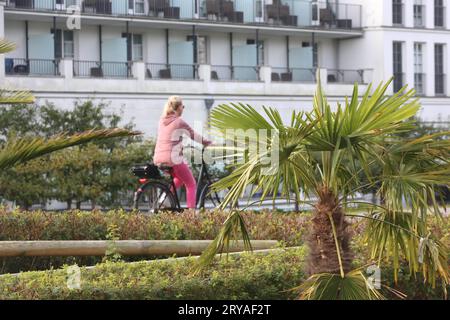 Blick am Donnerstag 28.09.2023 in Zingst Landkreis Vorpommern Rügen auf eine Palme am Zugang zur Seebrücke mit einem Hotel im Hintergrund. Nel Meclemburgo Vorpommern neigt sich die Saison allmählich dem Ende zu. Die letzten Strandkörbe sind mehr und mehr verwaist und in einigen Restaurants kehrt nach und nach wieder etwas Ruhe ein. Dennoch bleibt das Land für zahlreiche Touristen ein beliebtes Urlaubsziel. Cappello denn die Tourismusbranche in den zurückliegenden Jahren sehr viel in saisonverlängernde Maßnahmen investiert. Quindi gibt es mittlerweile im Nordosten u.a. auch während der Herbstmonate Diver Foto Stock