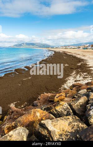 Inquinamento delle alghe sulla spiaggia di Tarifa, Spagna Foto Stock