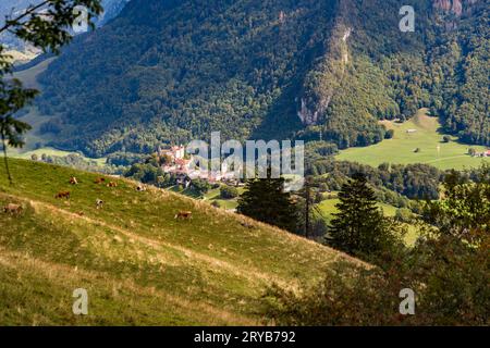 La città medievale di Gruyères, con il castello di Gruyères, si trova su una collina ai piedi delle Prealpi nel cantone di Friburgo. La città è senza auto, ha quattro musei ed è stata insignita del titolo di "miglior villaggio turistico" dall'UNWTO nel 2021. Il sentiero caseificio (Sentier des Fromageries) conduce oltre 20 caseifici nel cantone di Friburgo sopra Gruyères. Moléson, Svizzera Foto Stock