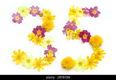 numero trentacinque 35, tre tre tre e cinque cinque 5 realizzati con fiori gialli e rosa appena raccolti. isolato su sfondo bianco per la festa di compleanno, anniversario Foto Stock