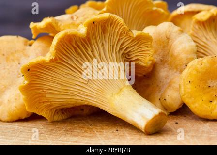 Primo piano di lampadari dorati freschi appena raccolti che si stagliano su un tagliere di legno in estate. Foto Stock