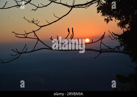 Scenario crepuscolo, crepuscolo prima del tramonto. Il sole tramonta sulle colline all'orizzonte dell'Estremo Oriente, ammirando alcuni rami artistici senza foglie. Foto Stock