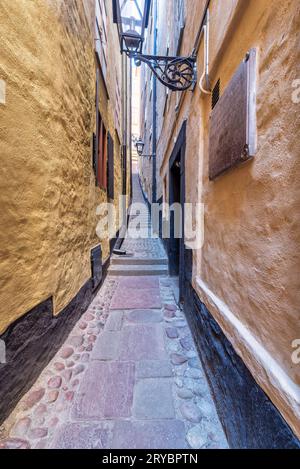 Vicolo di Marten Trotzig, svedese: Marten Trotzig Grand, la strada più stretta di Stoccolma con 36 gradini e 90 centimetri di larghezza, situato in Gamla stan, la città vecchia di Stoccolma, Svezia Foto Stock