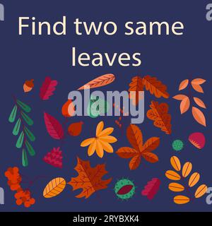 Poster autunnale. Foglio di lavoro bambini. Trovare le stesse foglie. Gioco logico. Indovinello dell'infanzia. Rowan e acero. Vegetazione forestale autunnale. Piante simili. Quiz sull'educazione dei bambini. Banner Vector Fall Nature Illustrazione Vettoriale