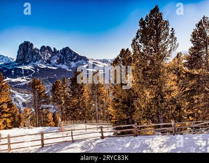 Panorama delle Dolomiti con montagne innevate e verdi conifere Foto Stock