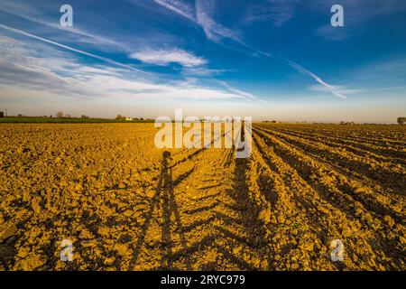 Ombra del cavalletto per fotocamera su un campo di patate arato Foto Stock