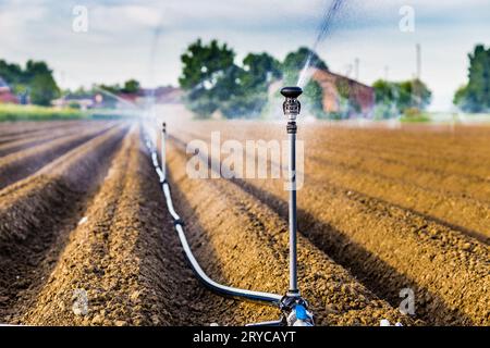 Irrigazione di campi coltivati Foto Stock