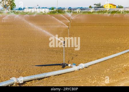 Irrigazione di campi coltivati Foto Stock