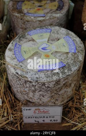 Italia, formaggio crudo piemontese Foto Stock