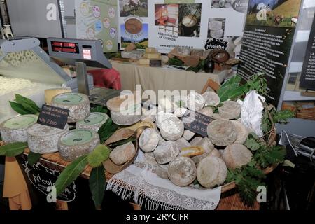 Italia, formaggio crudo piemontese Foto Stock