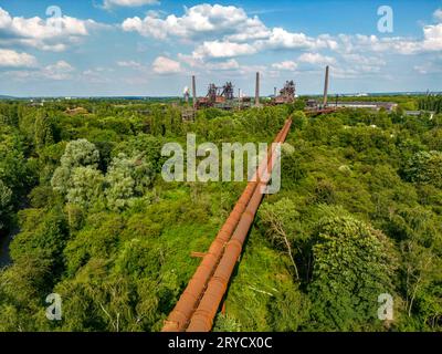 Der Landschaftspark Duisburg Nord, doppelte Hochofengasleitung von Westen Blick über die Wildnis, einem Parkbereich wo die Natur sich selbst überlassen wird, auf das Hüttenwerk, NRW, Deutschland, Landschaftspark *** Duisburg North Landscape Park, doppio gasdotto ad altoforno da ovest Vista attraverso la natura selvaggia, un'area parco dove la natura è lasciata ai propri dispositivi, alle acciaierie, NRW, Germania, Landscape Park Credit: Imago/Alamy Live News Foto Stock