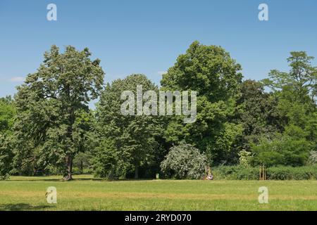 Clara-Zetkin-Park, Lipsia, Sachsen, Deutschland Foto Stock