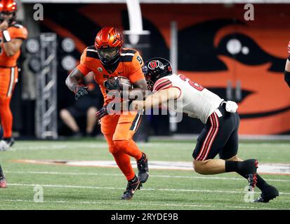 Reser Stadium, Corvallis, OR, USA. 29 settembre 2023. Il running back degli Oregon State Beavers Isaiah Newell (9) porta per yardage durante la partita di football NCAA tra gli Utah Utes e gli Oregon State Beavers al Reser Stadium, Corvallis, OREGON. Larry C. Lawson/CSM/Alamy Live News Foto Stock