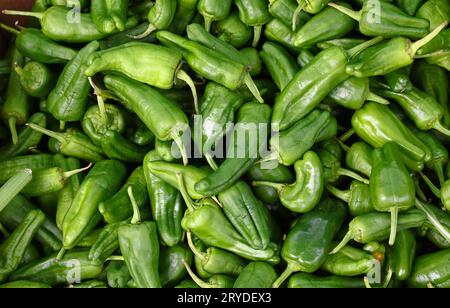 Primi piani con peperoncino verde padron fresco Foto Stock