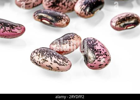 Mazzo di fagioli viola su sfondo bianco. Foto Stock