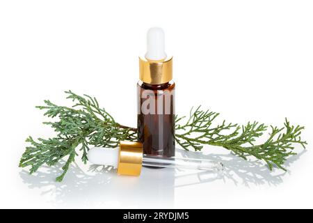 Olio essenziale di cipresso Foto Stock