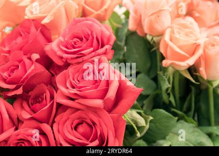 Bouquet di rose rosse e arancio pallido Foto Stock