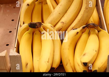 Primi piani di banane mature esposte al dettaglio Foto Stock