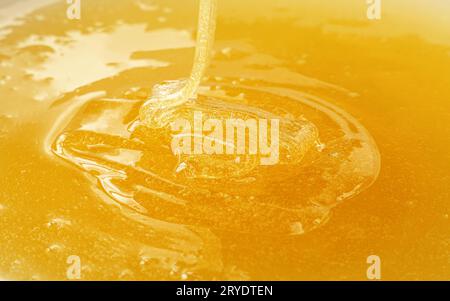 Chiudere versando del miele liquido fresco nel recipiente Foto Stock