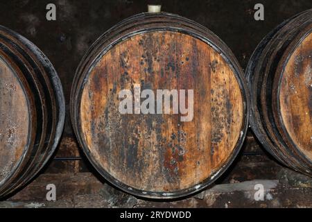 Filari di botti di vino in legno di quercia nella cantina Foto Stock