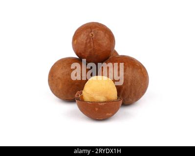 Noci di Macadamia isolati su sfondo bianco Foto Stock