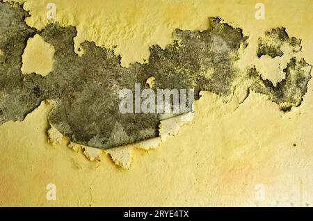 Rimozione della vernice dalla parete Foto Stock