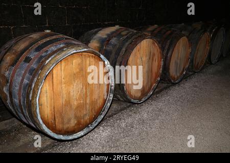 Filari di botti di vino in legno di quercia nella cantina Foto Stock