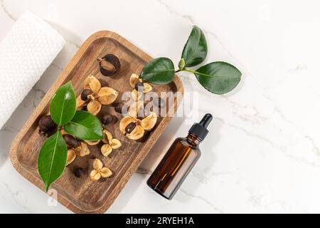 Bottiglia di olio essenziale di Camelia e semi di camelia su vassoio di legno Foto Stock