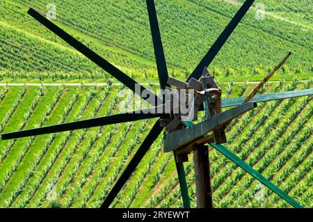 Klopotec, uno spaventatore di uccelli in un vigneto austriaco Foto Stock