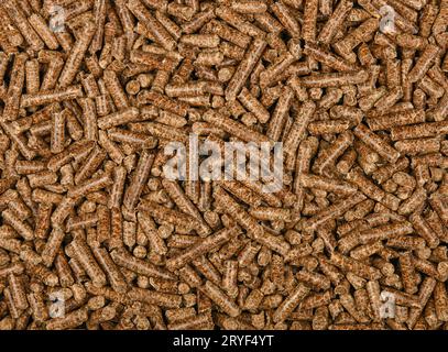 Pellets di legno duro per il fumo di alimenti Foto Stock